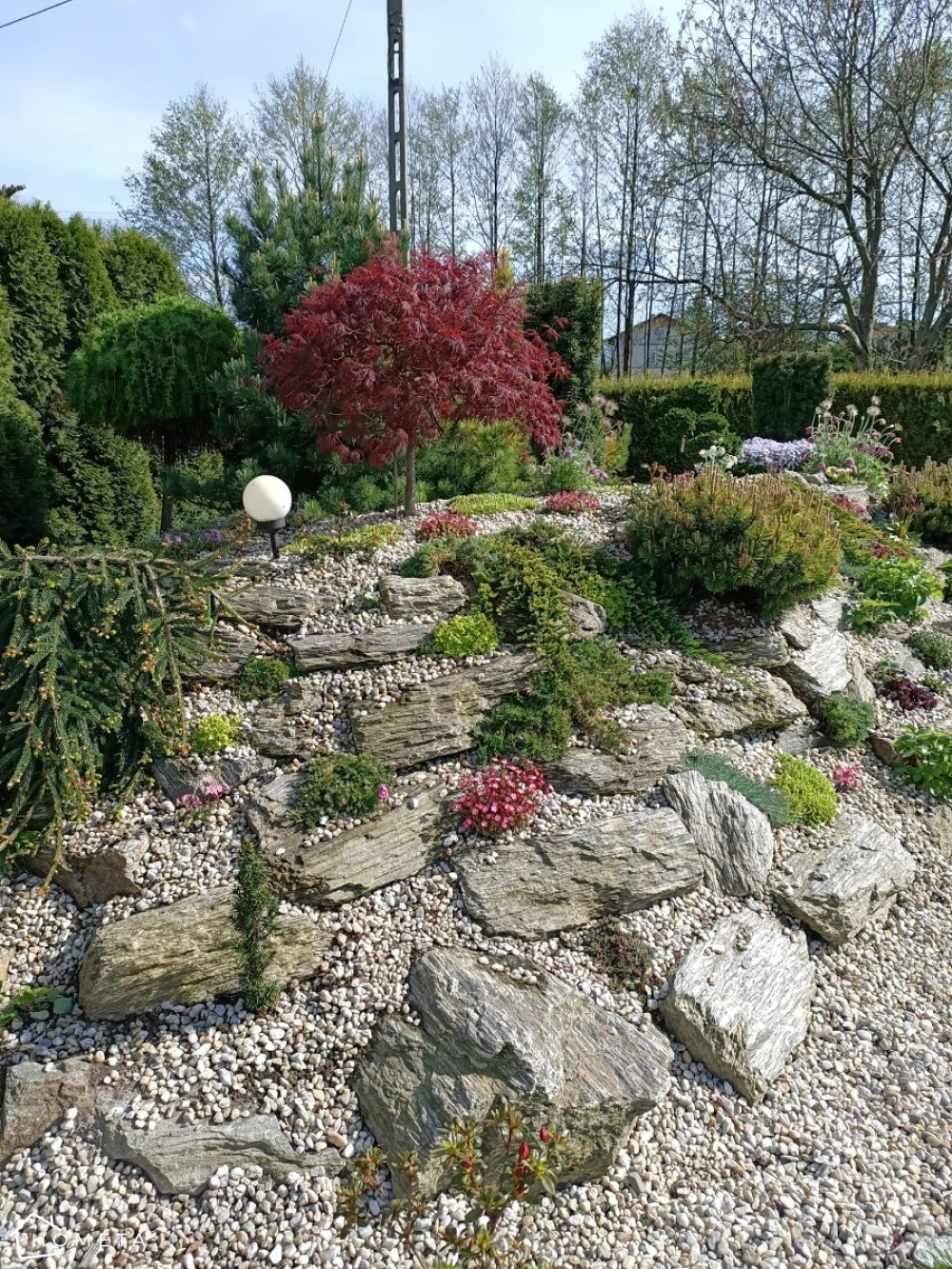 Duże kamienie w ogrodzie